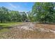 Large backyard featuring sandy open space and mature trees with lawn furniture at 10381 Hardwick Rd., Nichols, SC 29581