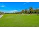 Large, verdant backyard, perfect for outdoor activities and enjoying the surrounding greenery at 15810 County Line Rd., Andrews, SC 29510
