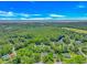 Overhead view of lush foliage, neighborhood, and the coastline in the distance under a blue sky with fluffy white clouds at 189 Aspen Loop, Pawleys Island, SC 29585