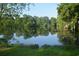 Scenic view of a tranquil pond surrounded by lush greenery, offering a peaceful and natural setting at 5867 Rosewood Dr., Myrtle Beach, SC 29588