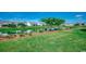 Lush backyard featuring a serene pond view, well-maintained landscaping, and a green lawn at 6430 Cascata Dr., Myrtle Beach, SC 29572