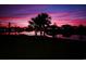 Dramatic sunset over the lake with palm trees and waterfront homes in the background at 1455 Whooping Crane Dr., Conway, SC 29526