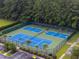 Aerial view of tennis and pickleball courts surrounded by lush landscaping and trees at 2131 Cass Lake Dr. # 662, Carolina Shores, NC 28467