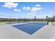 Outdoor pickleball court with vibrant blue playing surface and tall net, enclosed by a black chainlink fence at 413 Goldenrod Circle # 2B, Little River, SC 29566