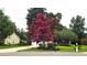 Well-manicured lawn featuring a large crape myrtle tree with vibrant pink blooms, adding beauty to the property at 1409 Ashwood Circle, Surfside Beach, SC 29575
