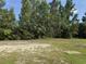 Large grassy backyard surrounded by trees, providing a private outdoor space at 364 Jamie Rd., Galivants Ferry, SC 29544