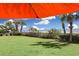 Picture of a spacious backyard with lush green grass and tropical palm trees by the ocean at 7200 N Ocean Blvd. # 459, Myrtle Beach, SC 29572