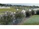 Picturesque view of the backyard with pond and white picket fence at 8164 Forest Edge Dr., Myrtle Beach, SC 29579