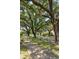 Neighborhood street with mature trees providing ample shade over the road and sidewalks at 126 Cleland St., Georgetown, SC 29440