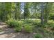 Picture of backyard next to lush green golf course at 116 Kingsbury Loop # C, Conway, SC 29526