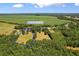 Aerial view of the property, surrounded by lush greenery and bordering farmland at 1206 French Rd, Mullins, SC 29574
