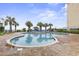 Outdoor pool surrounded by palm trees and chairs, offering a resort-like experience at 1605 S Ocean Blvd. # 208, Myrtle Beach, SC 29577
