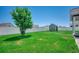 Large backyard with a white fence, green grass, a small storage shed, and a young tree at 365 Lenox Dr., Conway, SC 29526