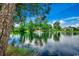 Scenic view of a tranquil pond with a fountain, surrounded by lush trees and greenery under a clear blue sky at 911 Tilghman Forest Dr., North Myrtle Beach, SC 29582