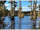 Picturesque lake view showcasing cypress trees, calm waters, and house in the distance at 18 Canvas Back Cove # 122, Georgetown, SC 29440