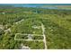 Aerial view of the property and surrounding trees with water in the distance at 309 Otter Run Rd., Pawleys Island, SC 29585
