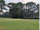 Close-up of the pristine golf course, showcasing a smooth green and towering trees in the background at 4719 National Dr., Myrtle Beach, SC 29579