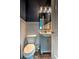 Bathroom with vanity, mirror, and toilet at 520 Oak Pond Ct., Conway, SC 29526