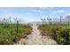 Sandy path through grassy dunes leading to a beautiful ocean beach at 5515 N Ocean Blvd. N # 206, Myrtle Beach, SC 29577