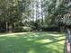 Expansive lawn surrounded by trees, offering a quiet spot for outdoor activities and relaxation at 1307 Carolina Wren Ln., Murrells Inlet, SC 29576