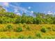 View of the lush backyard featuring green space and mature trees for serene outdoor living at 1450 St. George Ln. # E, Myrtle Beach, SC 29588