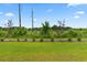 Well-maintained backyard with lush green grass, landscaping, and privacy for outdoor enjoyment at 244 Jasper Overlook Way # 244, Myrtle Beach, SC 29588