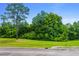 A tranquil, tree-lined street bordering a lush green lawn at Lot 142 Millbank Rd., Georgetown, SC 29440
