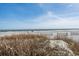 Scenic beach view with tranquil waves, sand, and natural vegetation in foreground at 1105 S Ocean Blvd. # 128, Myrtle Beach, SC 29577