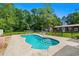 Backyard pool with concrete deck, black metal fence, and lush green surroundings at 528 George Washington Trail, Georgetown, SC 29440