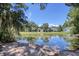 Picturesque view of a serene pond surrounded by lush greenery and trees at 23 Robert Conway Ct., Georgetown, SC 29440