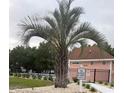 Community pool area features a sun deck, palm trees and green space at 1207 Salt Windy Way, North Myrtle Beach, SC 29582