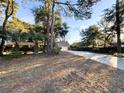 Brick home with a long driveway and mature trees, offering a serene and private setting at 902 N 11Th Ave. N, North Myrtle Beach, SC 29582