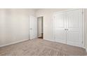 Spacious bedroom with neutral walls, carpet, and double doors to closet at 315 Hayloft Circle, Conway, SC 29526