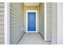 Inviting entryway showcasing a vibrant blue front door with white trim and light green siding at 389 Sun Colony Blvd., Longs, SC 29568