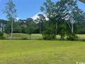 Lush backyard with verdant lawn and mature trees offering a serene outdoor space at 9746 Indigo Creek Blvd., Murrells Inlet, SC 29576