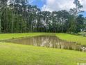 Scenic view of a tranquil pond, nestled within lush green surroundings, enhancing the property's natural beauty at 9746 Indigo Creek Blvd., Murrells Inlet, SC 29576