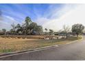 Scenic pond with marsh grasses and a view of a grand home at 852 Comanders Island Rd., Georgetown, SC 29440