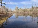 Scenic view of pond surrounded by trees on a sunny day at 1237 Spring Garden Rd., Conway, SC 29526