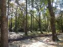 A wooded backyard with mature trees and natural landscaping creating a private and serene setting at 681 Hawthorn Dr., Pawleys Island, SC 29585