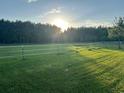 Scenic fenced pasture with lush grass and trees with sunlight peeking through the horizon at 1692 S Morgan Ave., Andrews, SC 29510
