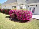 Beautiful landscaping with blooming pink azaleas adorning the exterior of the home at 765 Ashley Manor Dr., Longs, SC 29568