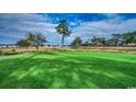 Green grass golf course with tall trees and shadows at 1401 Lighthouse Dr. # 4312, North Myrtle Beach, SC 29582