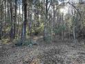 Wooded lot with some debris on the ground at 21851 Choppee Rd., Hemingway, SC 29554