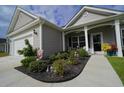 Landscaped front yard with inviting walkway to the cozy front porch of this single Gathering home at 141 Baylee Circle, Galivants Ferry, SC 29544