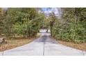 Long driveway leading to a house nestled among lush greenery at 1647 Running Water Dr., Murrells Inlet, SC 29576