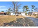 Single story home with a tree in the front yard and driveway at 789 University Forest Circle, Conway, SC 29526