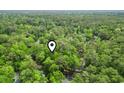 Overhead aerial view showing the property nestled among lush, dense trees providing privacy at 2102 Calabash Circle, Little River, SC 29566