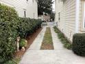 Side driveway with landscaping and garden statues at 41 Federation Loop, Pawleys Island, SC 29585