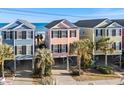 Colorful beach homes with palm trees, raised foundations, and ocean views in a sunny setting at 2022 N Waccamaw Dr., Garden City Beach, SC 29576