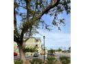 Building exterior partially obscured by tree; green siding, white trim, and parking lot at 81 Delray Dr. # 2-C, Murrells Inlet, SC 29576